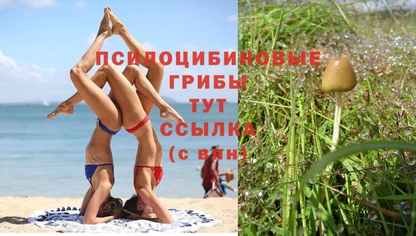 дмт Верея