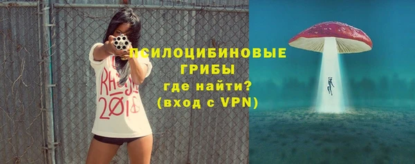 мдпв Бугульма