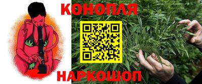 сатива Балахна