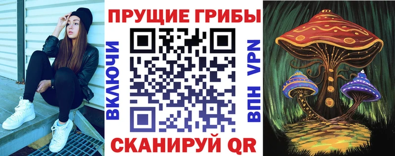 где купить наркоту  Бузулук  Псилоцибиновые грибы ЛСД 