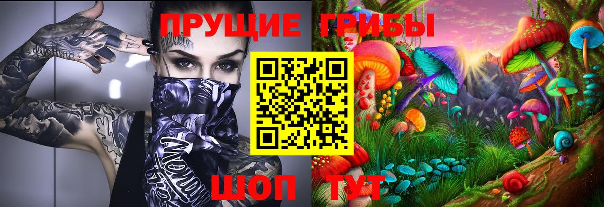 Псилоцибиновые грибы ЛСД Бузулук