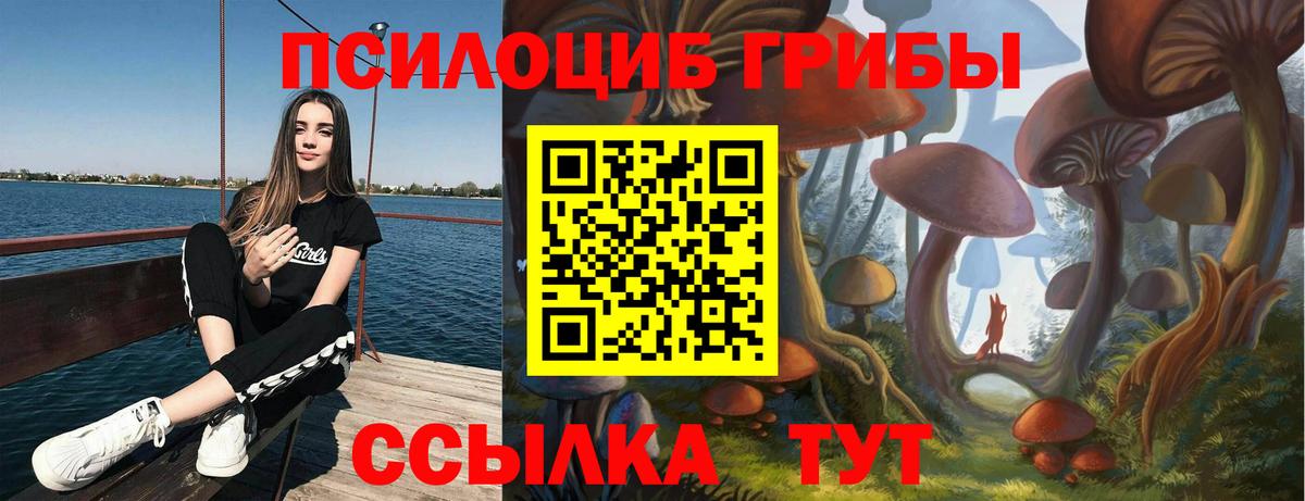 Псилоцибиновые грибы MAGIC MUSHROOMS  Галлюциногенные грибы MAGIC MUSHROOMS  Бузулук 